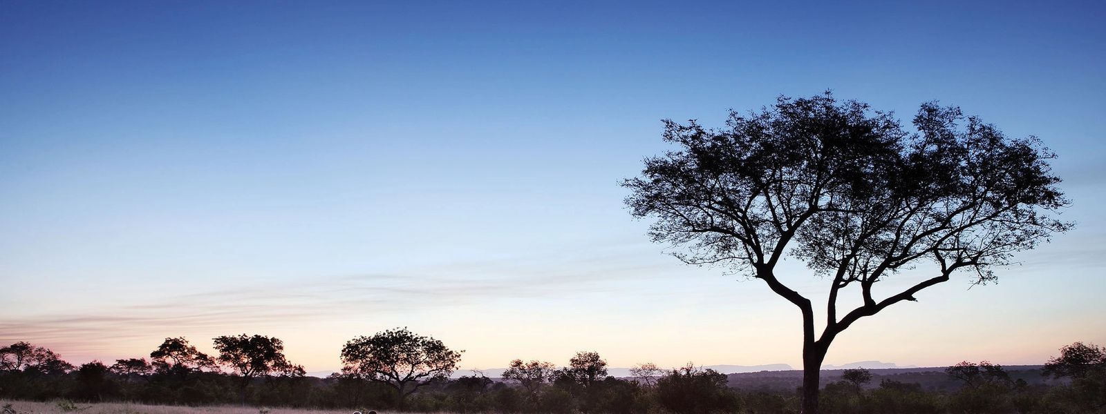 Luxus im Einklang mit der Natur – Nachhaltige Lodges in Afrika