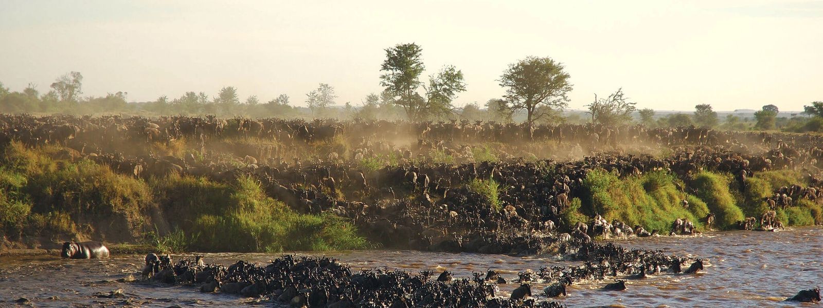 Your Guide to Experiencing the Great Migration in Tanzania