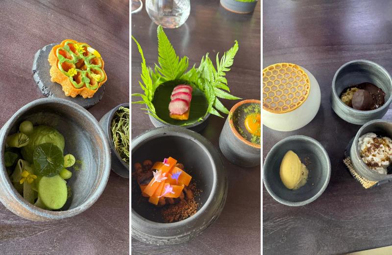 An assortment of beautifully presented dishes from the tasting menu at Meza Malonga, arranged across a wooden table.
