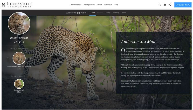 The website for Leopards of Londolozi