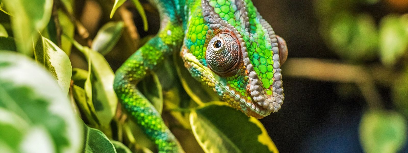 Top 10 Things To Do in Madagascar
