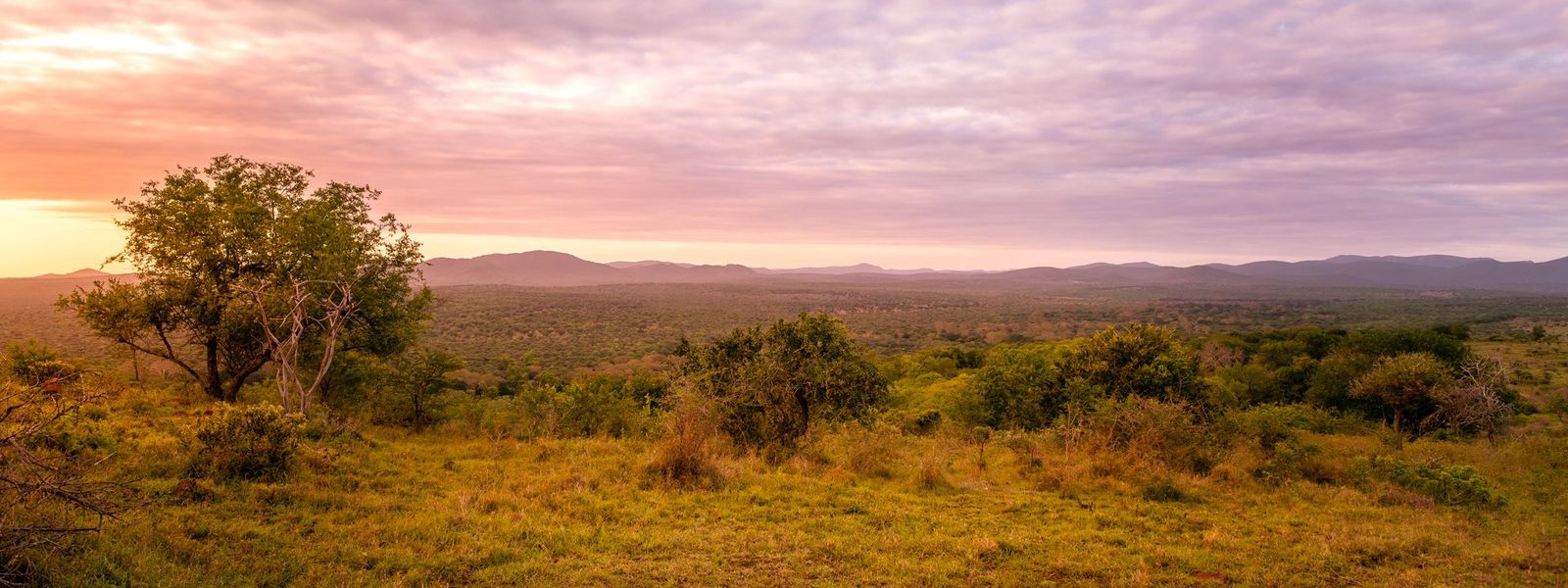 Die besten Safaris in KwaZulu-Natal