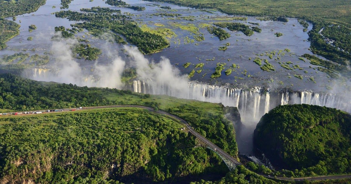Special Species of Victoria Falls