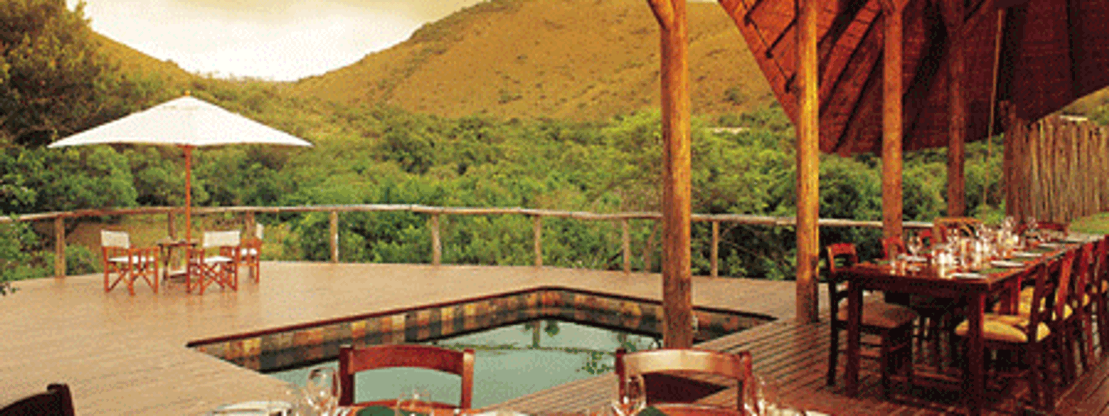 Safari Spectacular at Shamwari