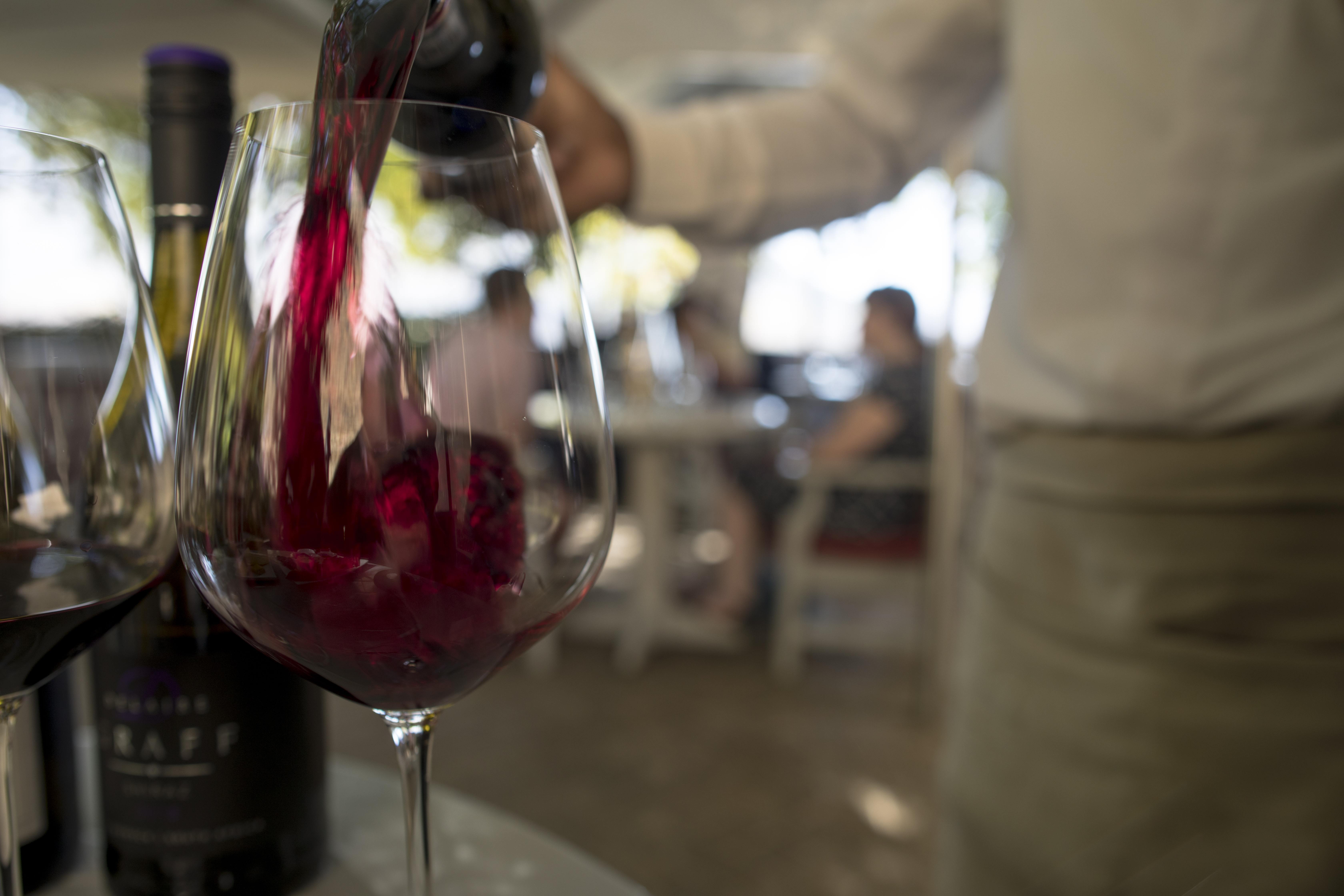 Stellenbosch e Franschhoek | Um roteiro de um dia