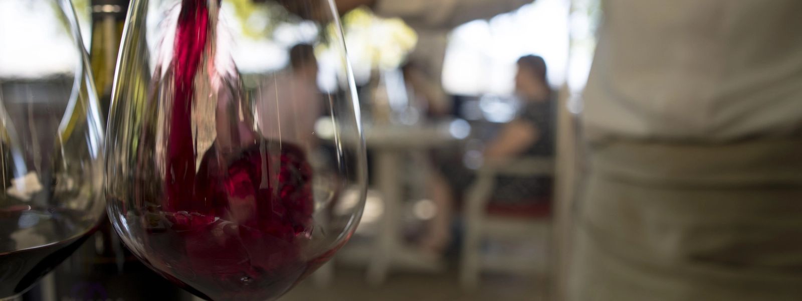 Stellenbosch e Franschhoek | Um roteiro de um dia