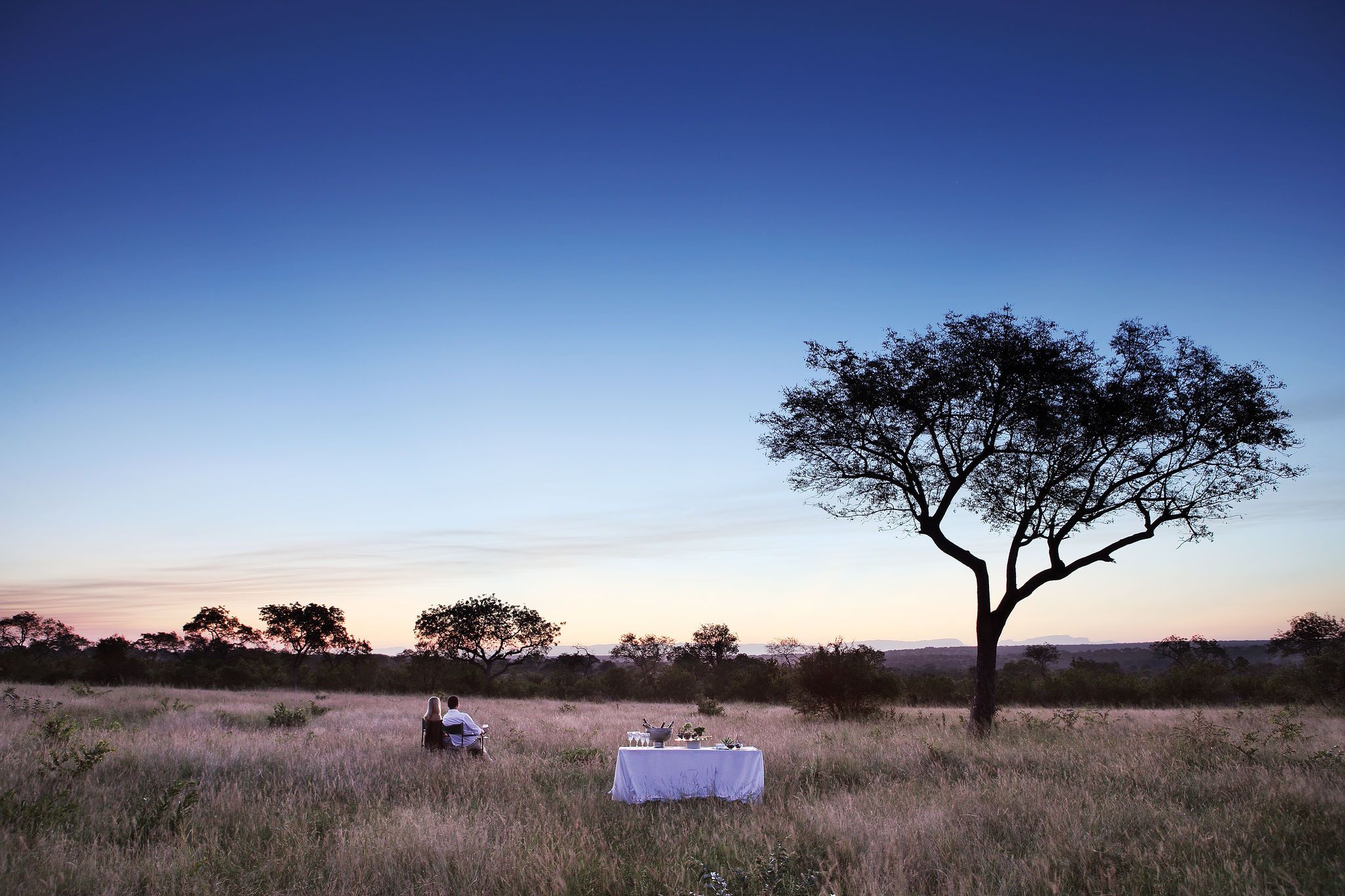 Londolozi - Bien plus qu'une expérience safari