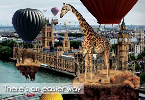 Why Travel To Africa With A Tour Operator?