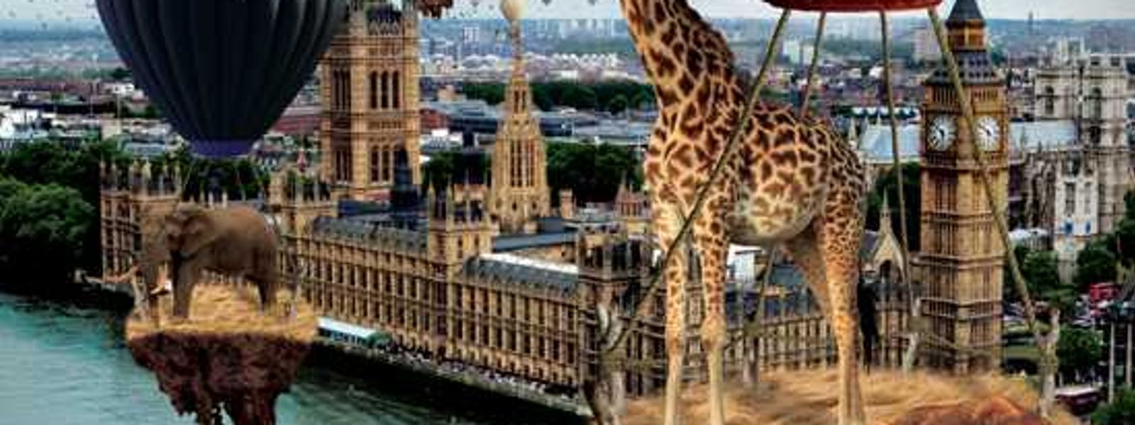 Why Travel To Africa With A Tour Operator?
