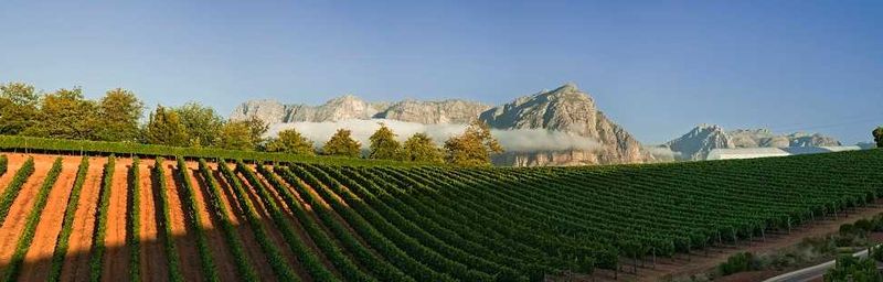 Delaire Graff Estate