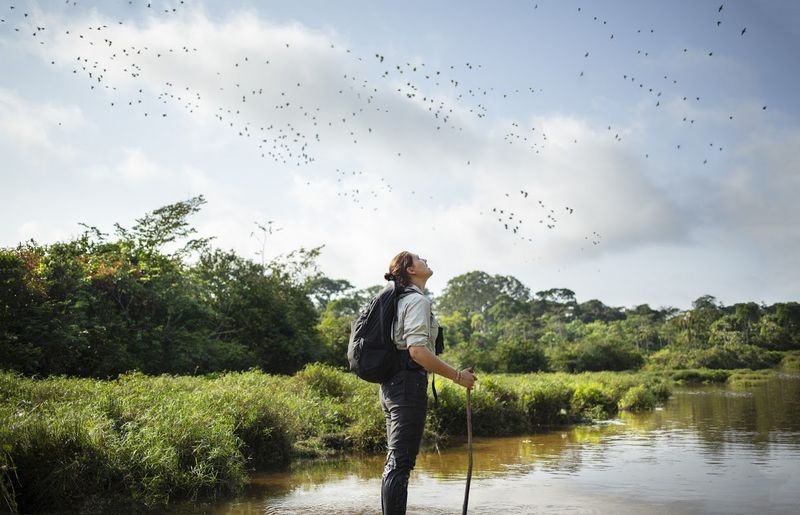 A guest stops to watch the sky while Gorilla trekking Congo 