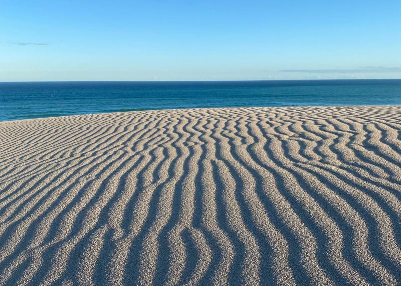 Weiße Dünen im De Hoop Nature Reserve in Südafrika
