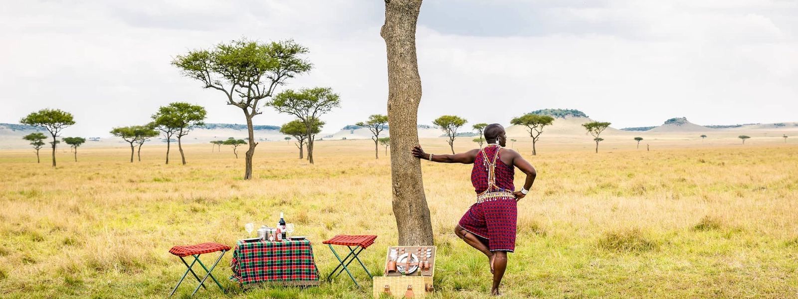 The Power of Travel Reviews on Culture, Heritage and the Visitor Economy