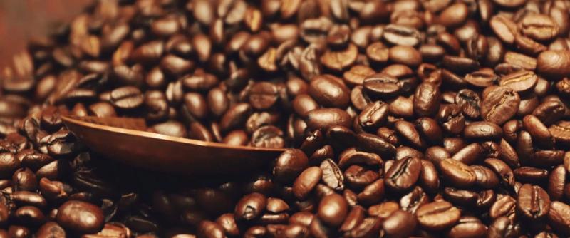 Eine Schale inmitten von unzähligen Kaffeebohnen