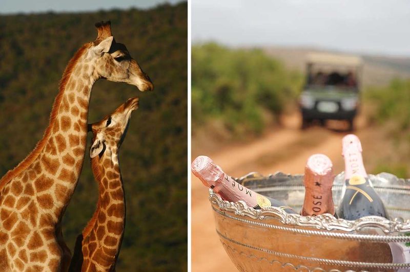 Shamwari Weddings: Long Lee Manor