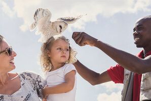 Daniela’s Silent Secrets of Botswana