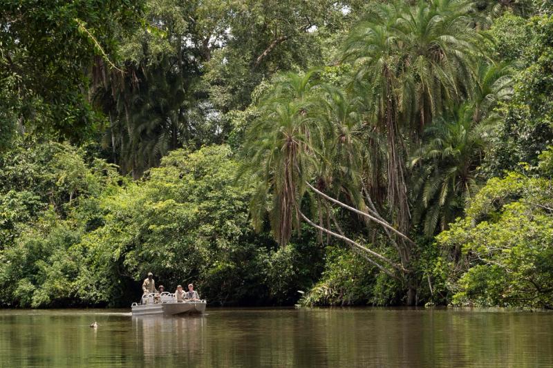 River and forest landscape of Odzala Kokoua National Park