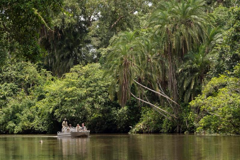 River and forest landscape of Odzala Kokoua National Park