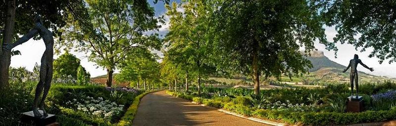 Delaire Graff Wine Estate
