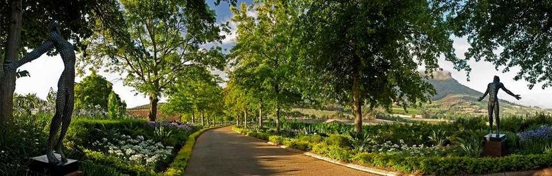 Delaire Graff Wine Estate