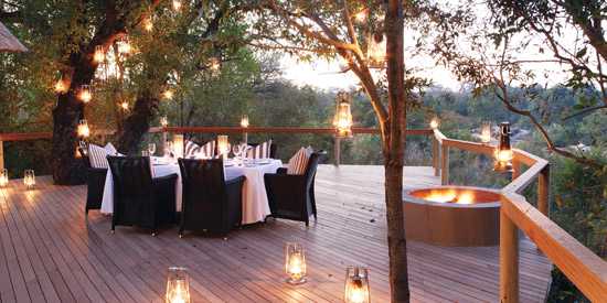 New star rising – Londolozi Pioneer Camp