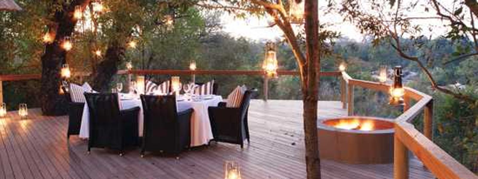 New star rising – Londolozi Pioneer Camp