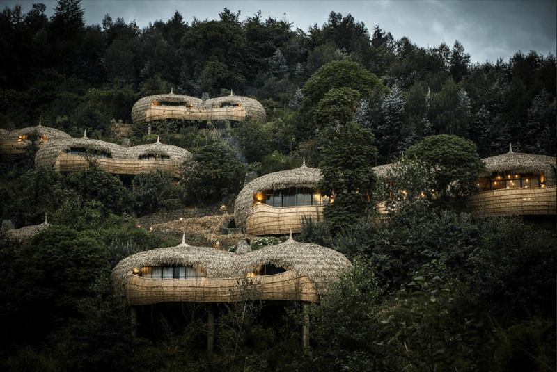 The Opulent Bisate Forest Villas