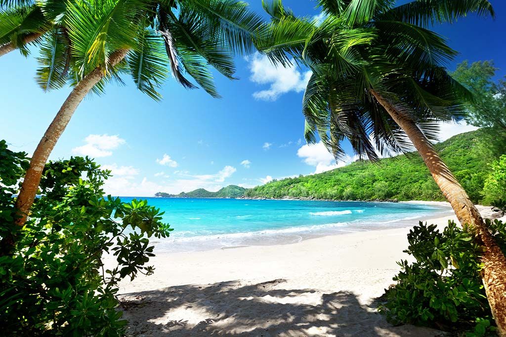 Making the most of the Seychelles