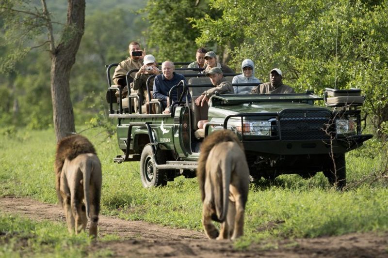 Niños y mayores podrán disfrutar juntos de la aventura de un safari