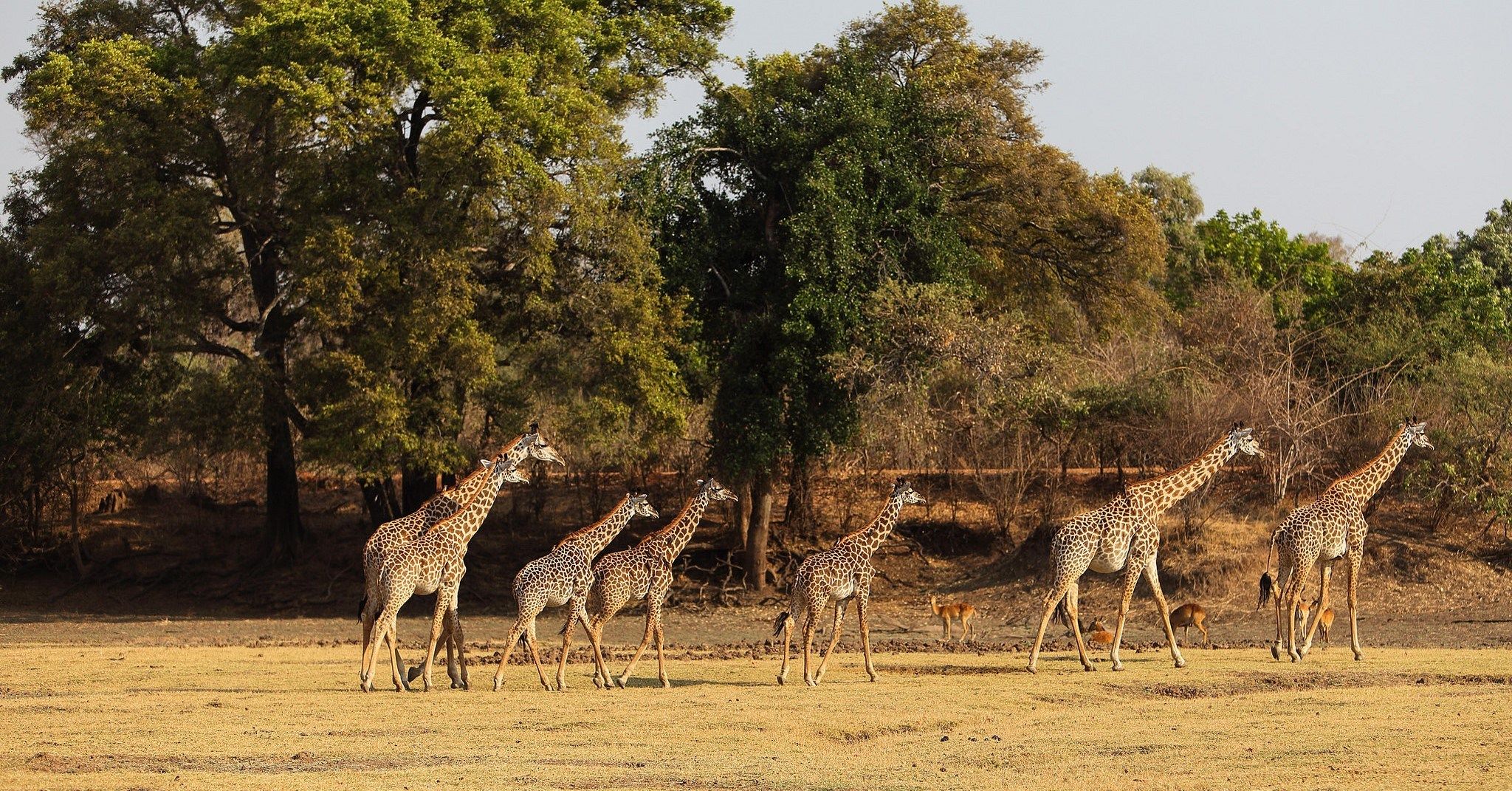 Voluntariado en África: súmate al turismo sostenible