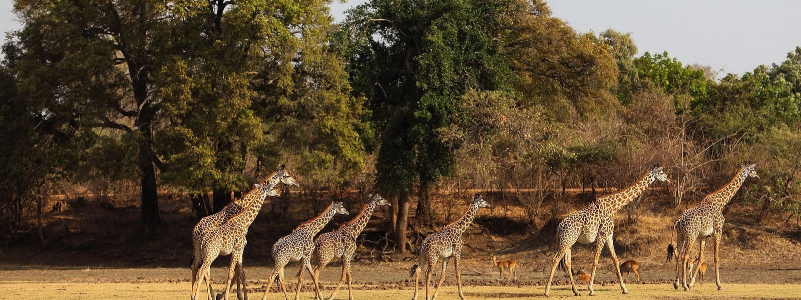 Voluntariado en África: súmate al turismo sostenible