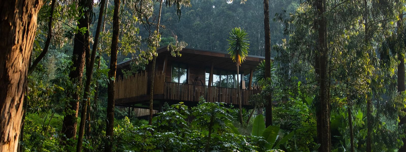 Principais acomodações para rastreamento de Gorila na África