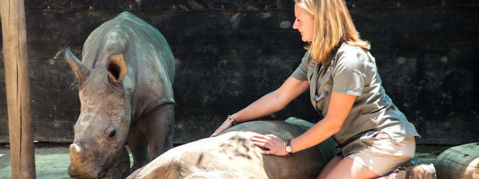 Our Adopted Rhino Don and Edyta his Polish Keeper: Part 2