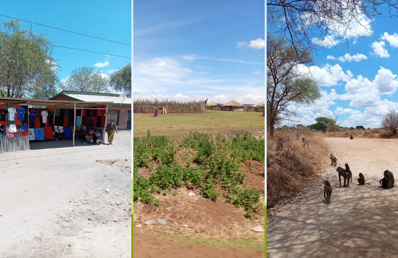 Three-panel collage showing a roadside market, a Maasai settlement and baboons beside a road in Tanzania.