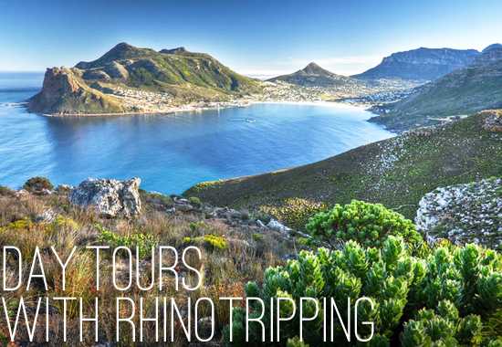 Day Tours with Rhino Africa
