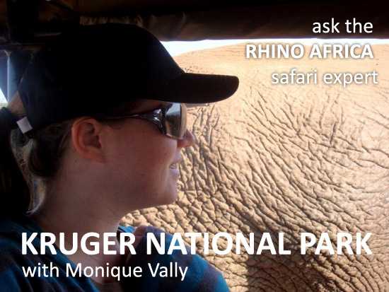 Ask the Rhino Africa safari expert - Kruger National Park with Monique Vally