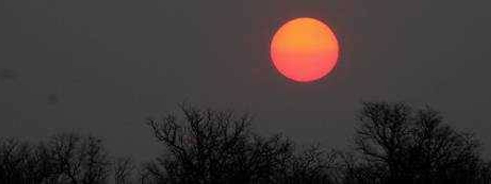 South Luangwa & Kafue