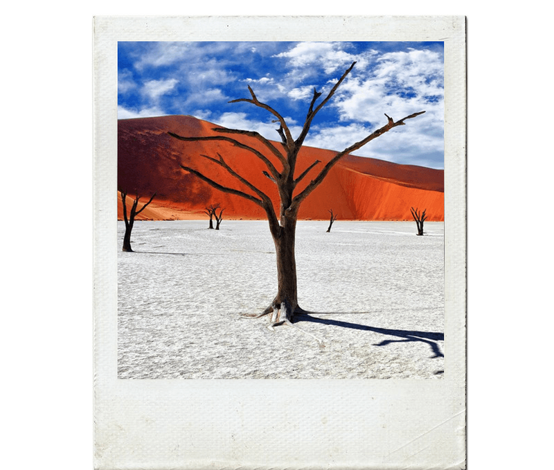 Árvores mortas na região de Deadvlei, deserto Sossusvlei, Namíbia