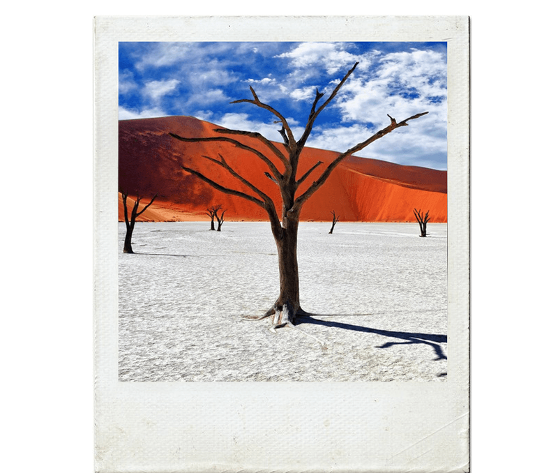 Árvores mortas na região de Deadvlei, deserto Sossusvlei, Namíbia