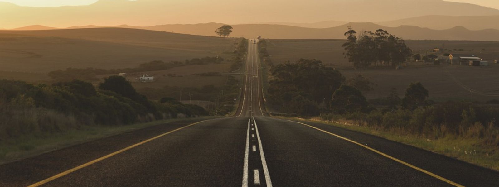 Garden Route vs Whale Route: Which South African Road Trip Is Right for You?