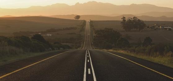 Garden Route vs Whale Route: Which South African Road Trip Is Right for You?