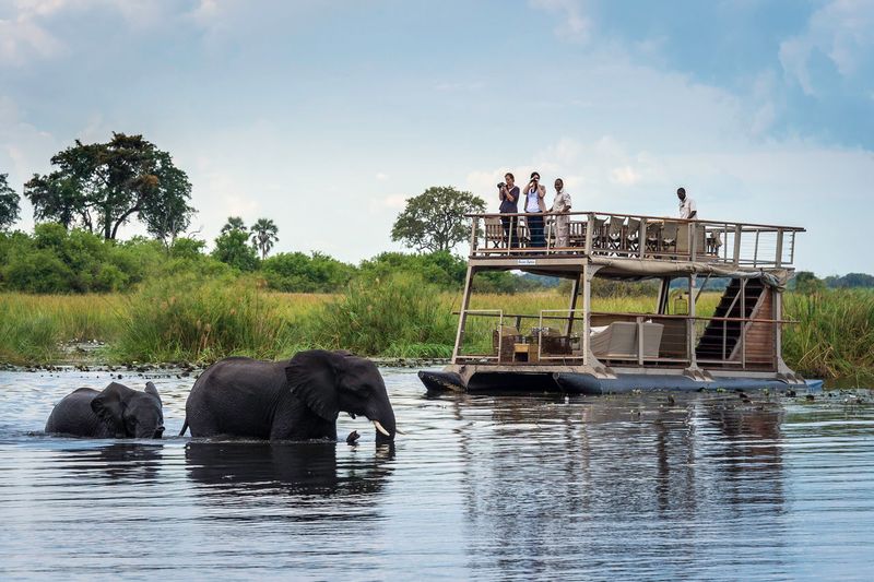 Boat cruise elephant