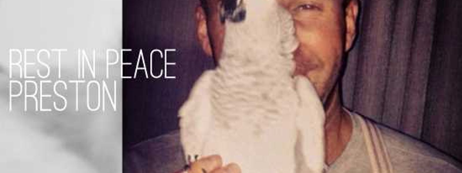 A Tribute To Preston The Parrot