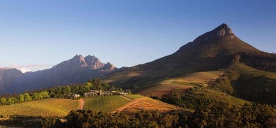 Our Favourite Restaurants in Stellenbosch