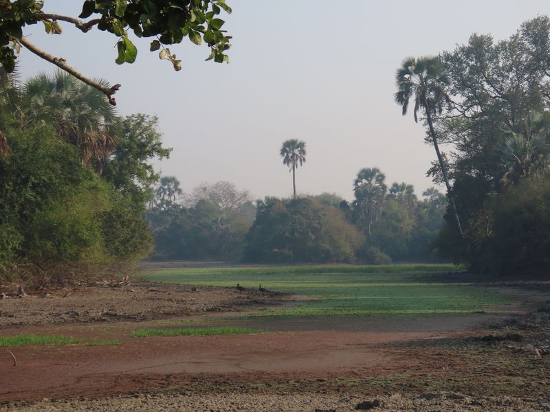 Gorongosa National Park safari views