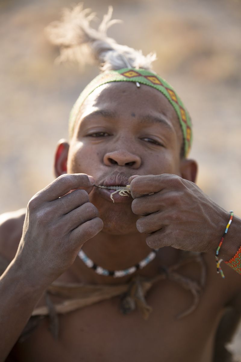 A bushman eating a scorpion