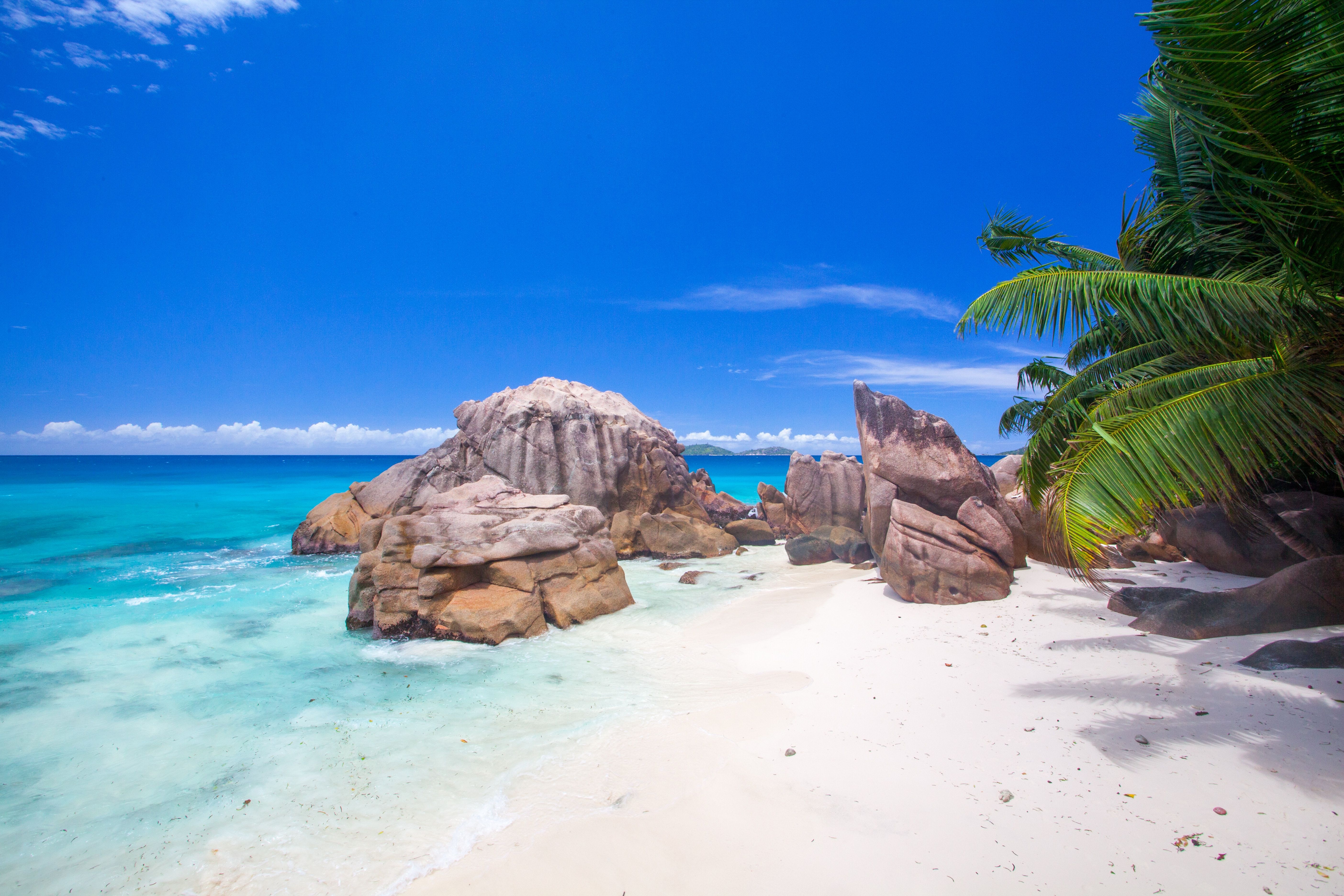 Der ultimative Reiseführer: Seychellen