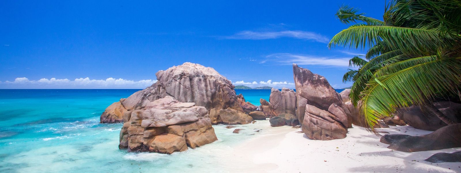 Der ultimative Reiseführer: Seychellen