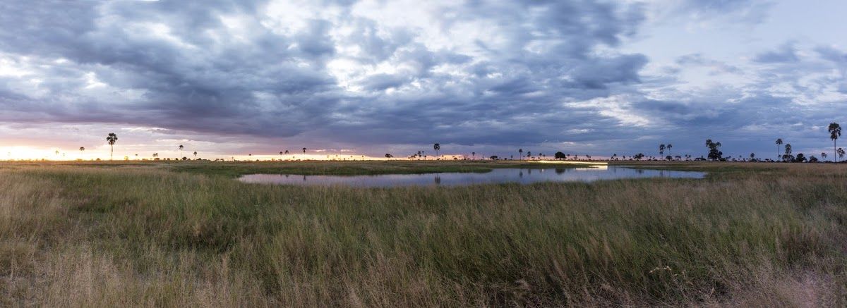 Botsuana en 10 fotos: descubre el África más salvaje