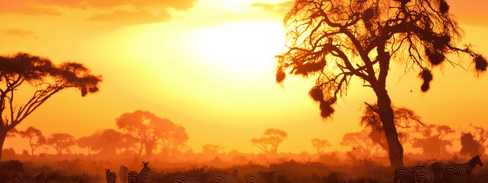 35 African Experiences You Need to Have Before You Die